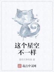 这个星空不一样封面