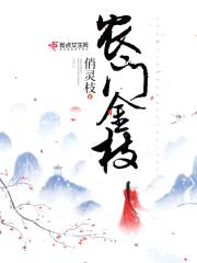 农门金枝封面