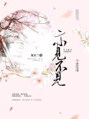 亦见不见再见封面