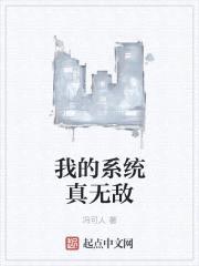 我的系统真无敌封面