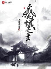 我乃此城之主封面