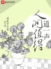 道一声人间值得封面