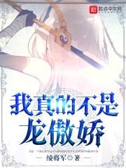 我真的不是龙傲娇封面
