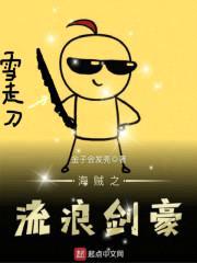 海贼之流浪剑豪封面