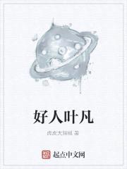 好人叶凡封面