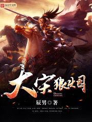大宋狼烟封面