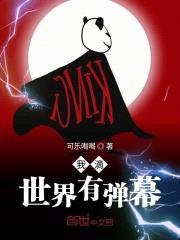 我滴世界有弹幕封面