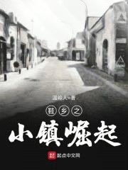 鞋乡之小镇崛起封面