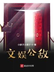 文娱公敌封面