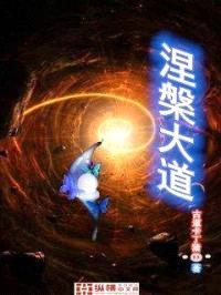 涅槃大道封面