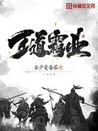 王道霸业封面