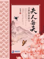 小宝寻亲记封面