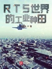 RTS世界的工业种田封面