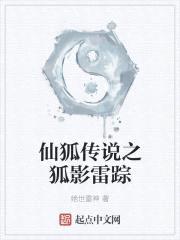 仙狐传说之狐影雷踪封面