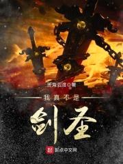 我真不是剑圣封面