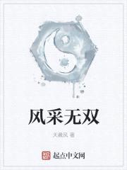风采无双封面