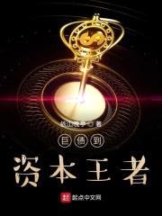 巨债到资本王者封面