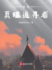 我是真理追寻者封面