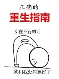 正确的重生指南封面