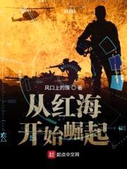 从红海开始崛起封面