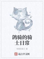 鸽骑的骑士日常封面