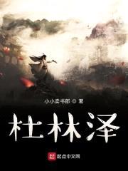 杜林泽封面