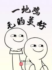一地鸡毛的美好封面