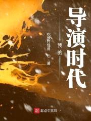 我的导演时代封面