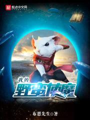 我的野蛮使魔封面