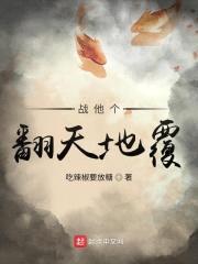 战他个翻天地覆封面