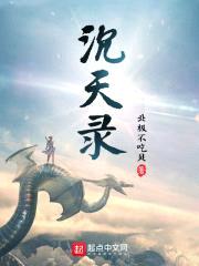 沉天录封面