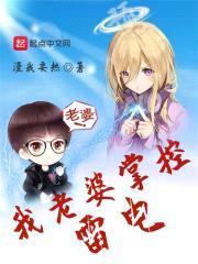 我老婆掌控雷电封面