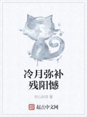 冷月弥补残阳憾封面