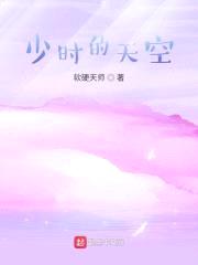 帕尼的天空封面