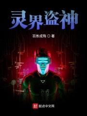 灵界盗神封面