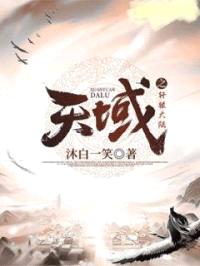 天域之轩辕大陆封面