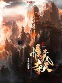 惟我夺天封面