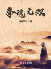 拳魂无双封面