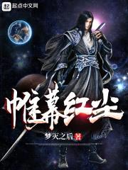 帷幕红尘封面