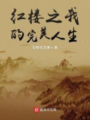 红楼之我的完美人生封面