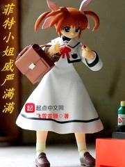 菲特小姐威严满满封面