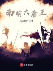 南明大唐王封面