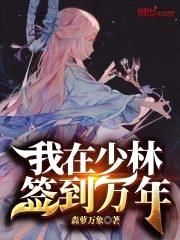 我在少林签到万年封面