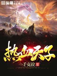 热血天子封面