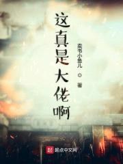 这真是大佬啊封面