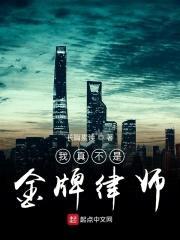 我真不是金牌律师封面