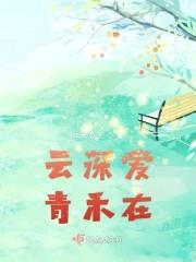 云深爱青禾在封面