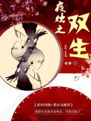 夜烛之双生封面