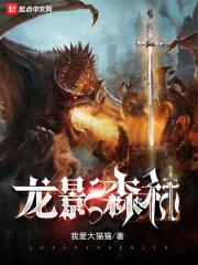 龙影森林封面