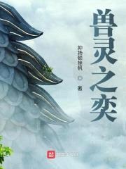 兽灵之弈封面